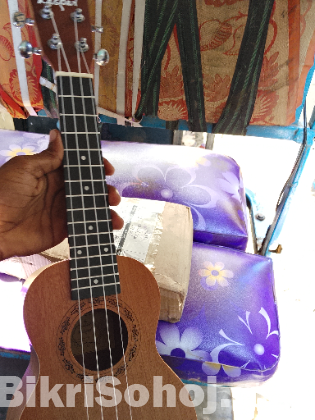 Ukulele kaspar